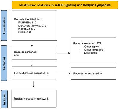 Not only a therapeutic target; mTOR in Hodgkin lymphoma and acute lymphoblastic leukemia